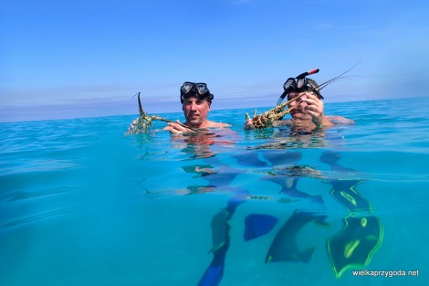 Homary jadły nam z ręki