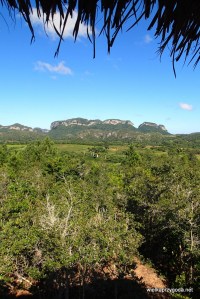 Viniales - wspaniała zieleń i wspaniałe widoki