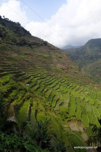 Tarasy ryżowe w Batad