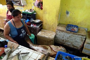 Na kolację polecamy rybę Lapu Lapu