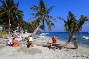 Jeszcze tylko podniesiemy palmę i do domu