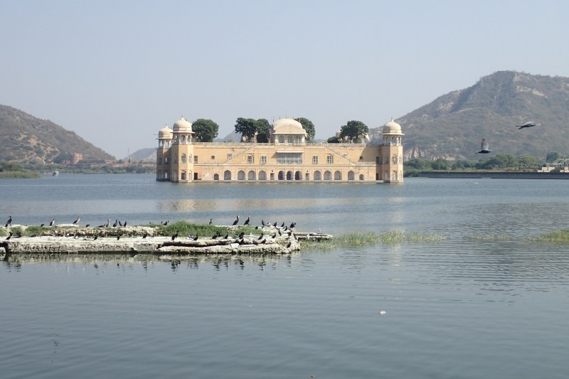 Jaipur Pałac na wodzie Jal Mahal